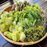 ヒメ日記 2026/04/13 12:28 投稿 阿野彩未(あやみ) 東京不倫～とうきょうふりん～