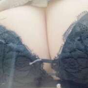 ヒメ日記 2025/10/25 17:23 投稿 いずな 神田ハンドメイド