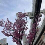 ヒメ日記 2025/03/31 09:00 投稿 ねね BLACK LABEL R's