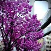 ヒメ日記 2025/04/03 09:00 投稿 ねね BLACK LABEL R's