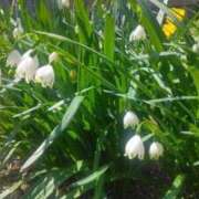 ヒメ日記 2025/04/17 15:00 投稿 ねね BLACK LABEL R's