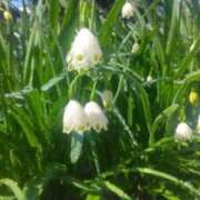 ヒメ日記 2025/04/26 06:00 投稿 ねね BLACK LABEL R's