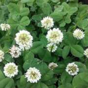 ヒメ日記 2025/05/03 06:00 投稿 ねね BLACK LABEL R's