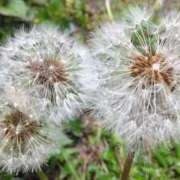 ヒメ日記 2025/05/03 12:00 投稿 ねね BLACK LABEL R's