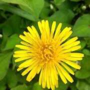 ヒメ日記 2025/05/12 09:00 投稿 ねね BLACK LABEL R's