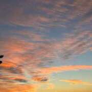 ヒメ日記 2025/05/15 15:00 投稿 ねね BLACK LABEL R's