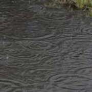 ヒメ日記 2025/06/03 16:01 投稿 ねね BLACK LABEL R's