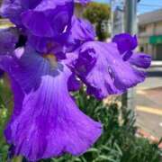 ヒメ日記 2025/06/07 12:01 投稿 ねね BLACK LABEL R's