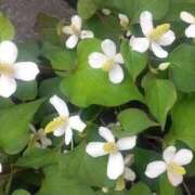 ヒメ日記 2025/06/10 15:00 投稿 ねね BLACK LABEL R's