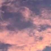 ヒメ日記 2025/06/12 15:00 投稿 ねね BLACK LABEL R's