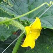 ヒメ日記 2025/07/08 09:01 投稿 ねね BLACK LABEL R's