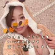 ヒメ日記 2024/12/16 08:25 投稿 似鳥あき 川崎南町 素敵な奥様（川崎ハレ系）