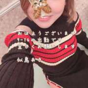 ヒメ日記 2025/01/06 08:27 投稿 似鳥あき 川崎南町 素敵な奥様（川崎ハレ系）