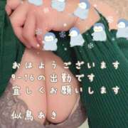 ヒメ日記 2025/01/17 08:16 投稿 似鳥あき 川崎南町 素敵な奥様（川崎ハレ系）