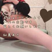 ヒメ日記 2025/03/16 08:14 投稿 似鳥あき 川崎南町 素敵な奥様（川崎ハレ系）