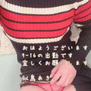 ヒメ日記 2025/03/24 08:18 投稿 似鳥あき 川崎南町 素敵な奥様（川崎ハレ系）