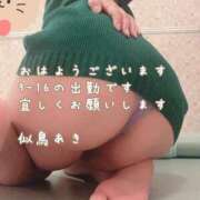 ヒメ日記 2025/04/08 08:22 投稿 似鳥あき 川崎南町 素敵な奥様（川崎ハレ系）