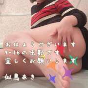 ヒメ日記 2025/05/05 08:30 投稿 似鳥あき 川崎南町 素敵な奥様（川崎ハレ系）