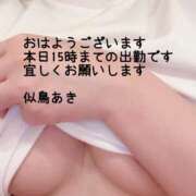 ヒメ日記 2025/06/17 08:16 投稿 似鳥あき 川崎南町 素敵な奥様（川崎ハレ系）