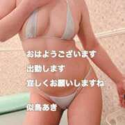 ヒメ日記 2025/09/22 08:23 投稿 似鳥あき 川崎南町 素敵な奥様（川崎ハレ系）