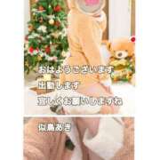 ヒメ日記 2025/12/13 08:51 投稿 似鳥あき 川崎南町 素敵な奥様（川崎ハレ系）