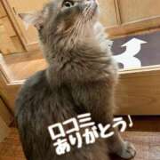 ヒメ日記 2025/12/24 19:51 投稿 似鳥あき 川崎南町 素敵な奥様（川崎ハレ系）