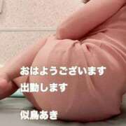 似鳥あき おはようございます 川崎南町 素敵な奥様（川崎ハレ系）