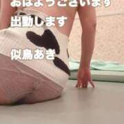 ヒメ日記 2026/02/15 08:59 投稿 似鳥あき 川崎南町 素敵な奥様（川崎ハレ系）