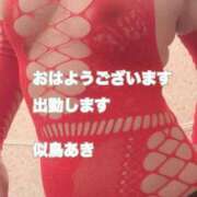 ヒメ日記 2026/03/28 08:54 投稿 似鳥あき 川崎南町 素敵な奥様（川崎ハレ系）