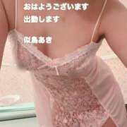 ヒメ日記 2026/04/17 09:04 投稿 似鳥あき 川崎南町 素敵な奥様（川崎ハレ系）