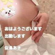 ヒメ日記 2026/04/18 08:58 投稿 似鳥あき 川崎南町 素敵な奥様（川崎ハレ系）