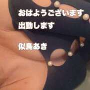 ヒメ日記 2026/04/20 08:53 投稿 似鳥あき 川崎南町 素敵な奥様（川崎ハレ系）