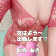ヒメ日記 2026/08/28 08:59 投稿 似鳥あき 川崎南町 素敵な奥様（川崎ハレ系）