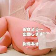 ヒメ日記 2026/10/10 08:49 投稿 似鳥あき 川崎南町 素敵な奥様（川崎ハレ系）