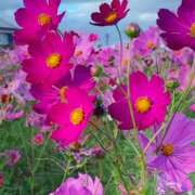 みつき◆納得のご奉仕力♪ 本日もよろしくお願いいたします⸝⸝⸝⸝♡ エピソード倉敷