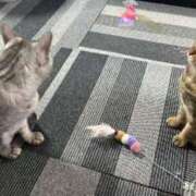 みつき◆納得のご奉仕力♪ 今年は30日がラストになります‪🫶 エピソード倉敷