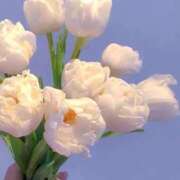 ヒメ日記 2026/01/15 16:35 投稿 みつき◆納得のご奉仕力♪ エピソード倉敷