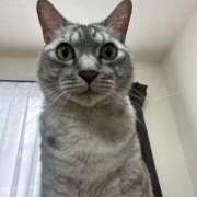 ヒメ日記 2026/03/26 10:19 投稿 みつき◆納得のご奉仕力♪ エピソード倉敷