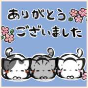 ヒメ日記 2025/06/29 17:49 投稿 れお 熟女の風俗最終章 新潟店