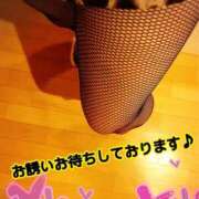 ヒメ日記 2026/04/04 14:33 投稿 れお 熟女の風俗最終章 新潟店