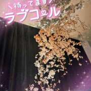 ヒメ日記 2025/03/27 08:34 投稿 穂乃 モアグループ大宮人妻花壇