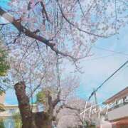 ヒメ日記 2025/04/07 17:03 投稿 穂乃 モアグループ大宮人妻花壇