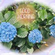 ヒメ日記 2025/07/03 05:48 投稿 穂乃 モアグループ大宮人妻花壇