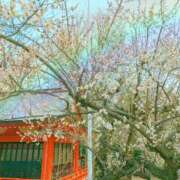 ヒメ日記 2026/01/31 00:24 投稿 穂乃 モアグループ大宮人妻花壇