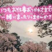 ヒメ日記 2026/04/01 03:03 投稿 穂乃 モアグループ大宮人妻花壇