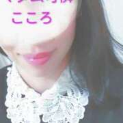 ヒメ日記 2025/11/30 18:29 投稿 こころ マダム可憐