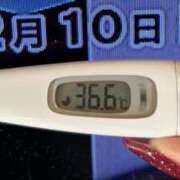 ヒメ日記 2024/12/10 09:40 投稿 加保(ひまわりの約束) おふくろさん 名古屋本店