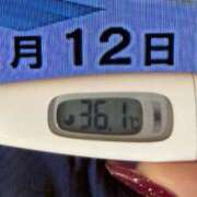 ヒメ日記 2024/12/12 09:45 投稿 加保(ひまわりの約束) おふくろさん 名古屋本店