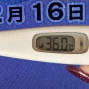 ヒメ日記 2024/12/16 09:05 投稿 加保(ひまわりの約束) おふくろさん 名古屋本店