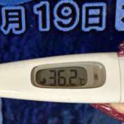 ヒメ日記 2024/12/19 08:45 投稿 加保(ひまわりの約束) おふくろさん 名古屋本店